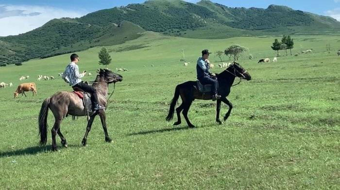 内蒙和朋友双飞游玩八天旅游团攻略内蒙8日跟团报价多少？亿博电竞 亿博官网(图3)