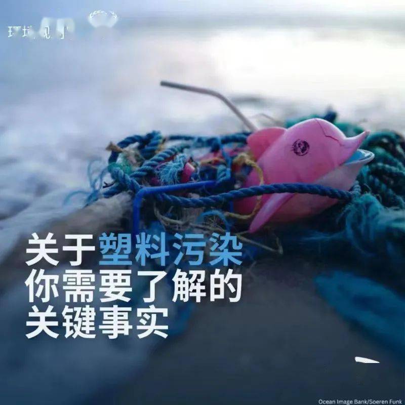 亿博电竞 亿博官网全球比赛“塑战速决”第十届国际环保四联漫画大赛正在召集中。(图8)