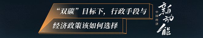 中国经济新动能 专访北大国发院教授徐晋涛：实现双碳目标应多用经济手段谨防运动式减碳伤害发展信心亿博电竞 亿博官网(图2)