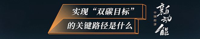 中国经济新动能 专访北大国发院教授徐晋涛：实现双碳目标应多用经济手段谨防运动式减碳伤害发展信心亿博电竞 亿博官网(图5)